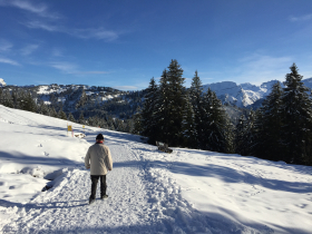 Gerontoloji ve ne olacak bizim yaşlı göçmenler ...